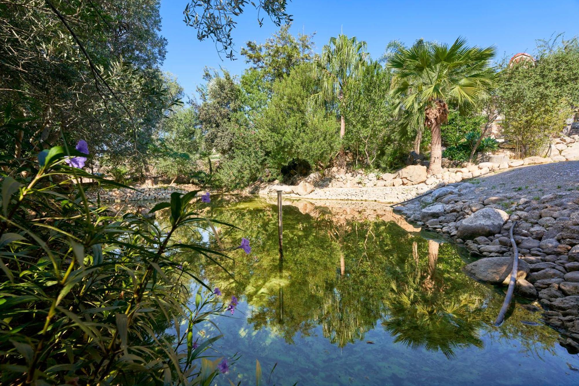Villa Quiet In With Amazing Pool, Paddle Court And Garden